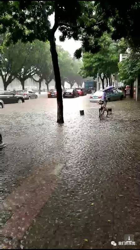 東莞今天大暴雨十多個鎮街停課水浸圖片太震撼