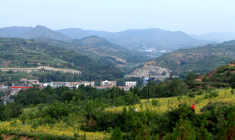 阳泉市南沟村图片