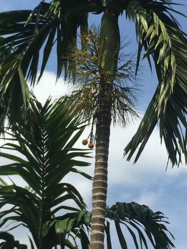 我的浪漫三亚之旅和湛蓝的大海在一起