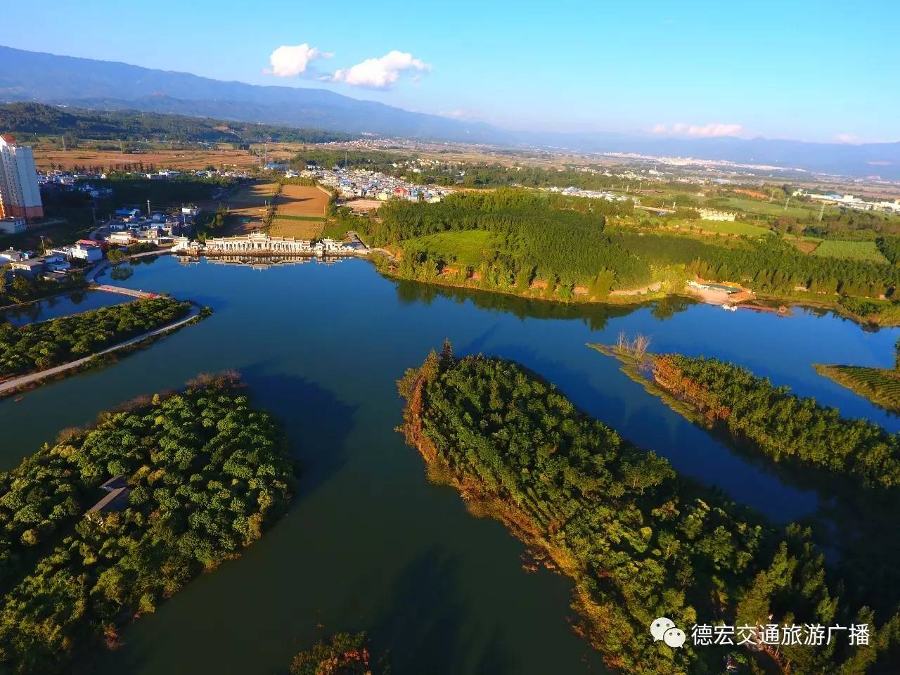 后谷咖啡种植基地图片