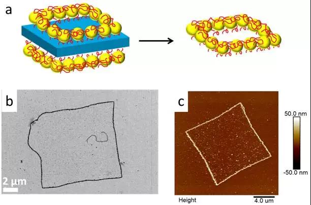 金纳米颗粒的制备方法图片