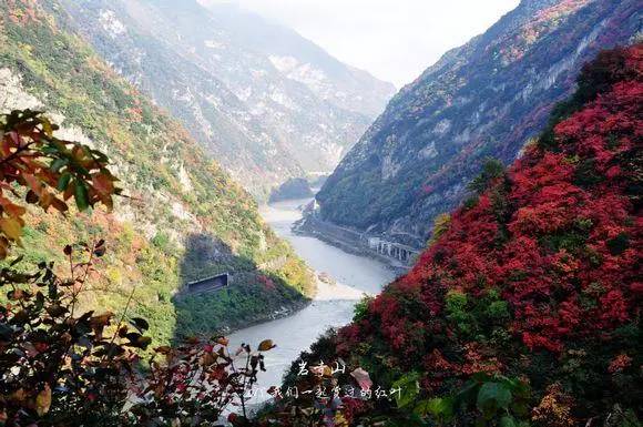 【略陽最美家鄉】萬花未落盡,遍山紅葉燒,略陽葉子要紅了,你來嗎?