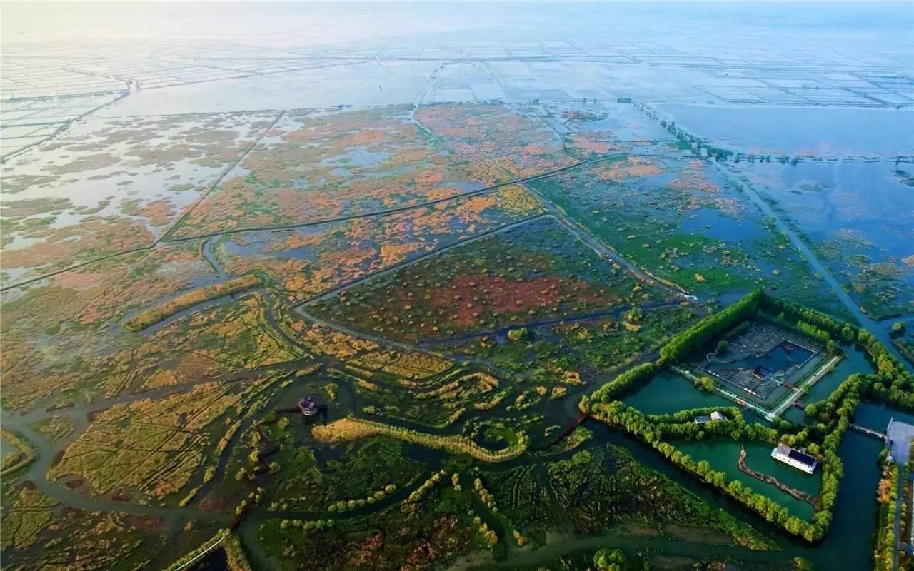 累了厭了倦了就到泗洪洪澤湖溼地走一走發發呆吧