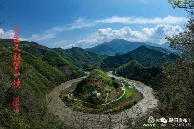 略陽觀音寺首次發現國家保護動物灰鸛