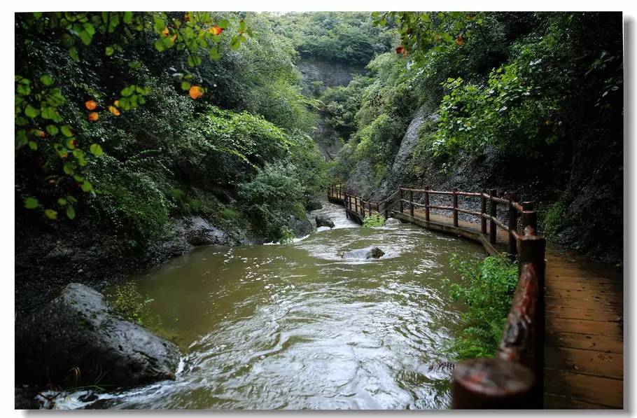 南水北調中線工程調水源頭丹江口水庫,西南與國內外著名的風景名勝區