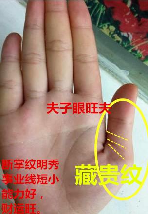 1,藏贵纹就是在大拇指的第二节上有三条横向或者斜向的清晰手纹,这三