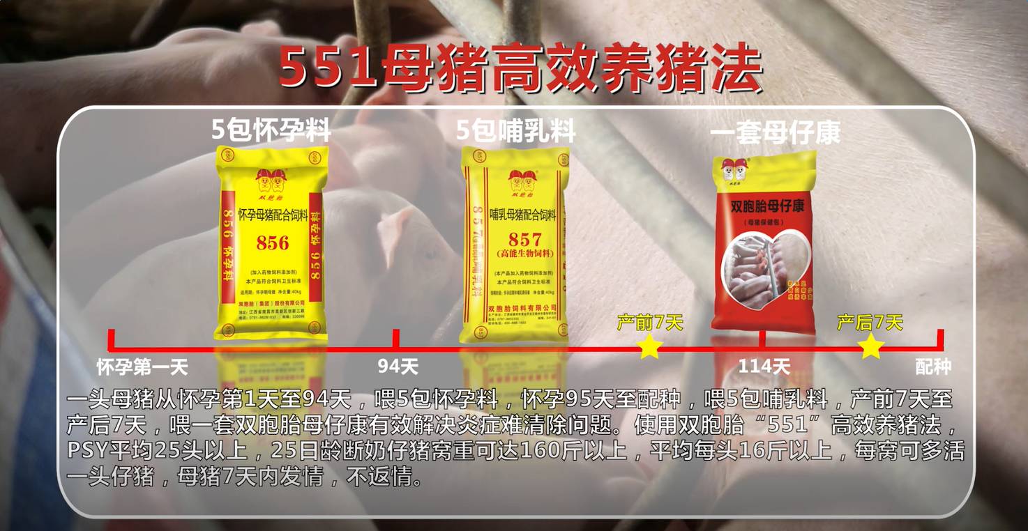 双胞胎集团首部母猪产品大片今天正式上映收视率预超战狼2