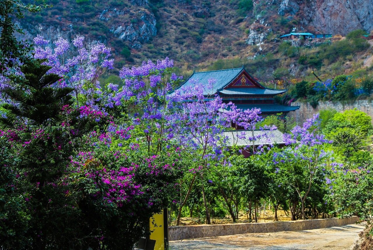 大象岗森林公园电话图片