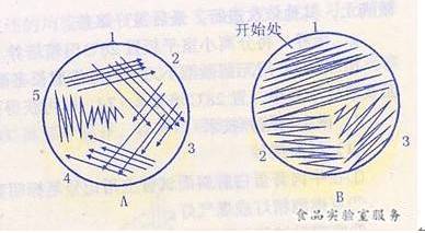 为方便划线,一般培养基不宜太薄,每皿约倾倒20ml培养基,培养基应厚薄