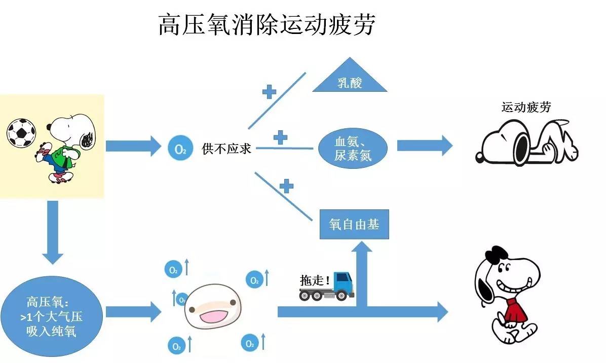 高压氧治疗对长期运动的人有哪些好处?