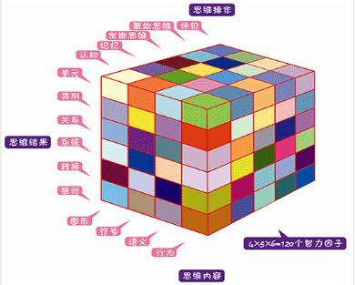 吉尔福特三维结构模型图片