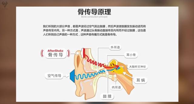 白问聊天发语音声音难听小白教你正确发语音姿势