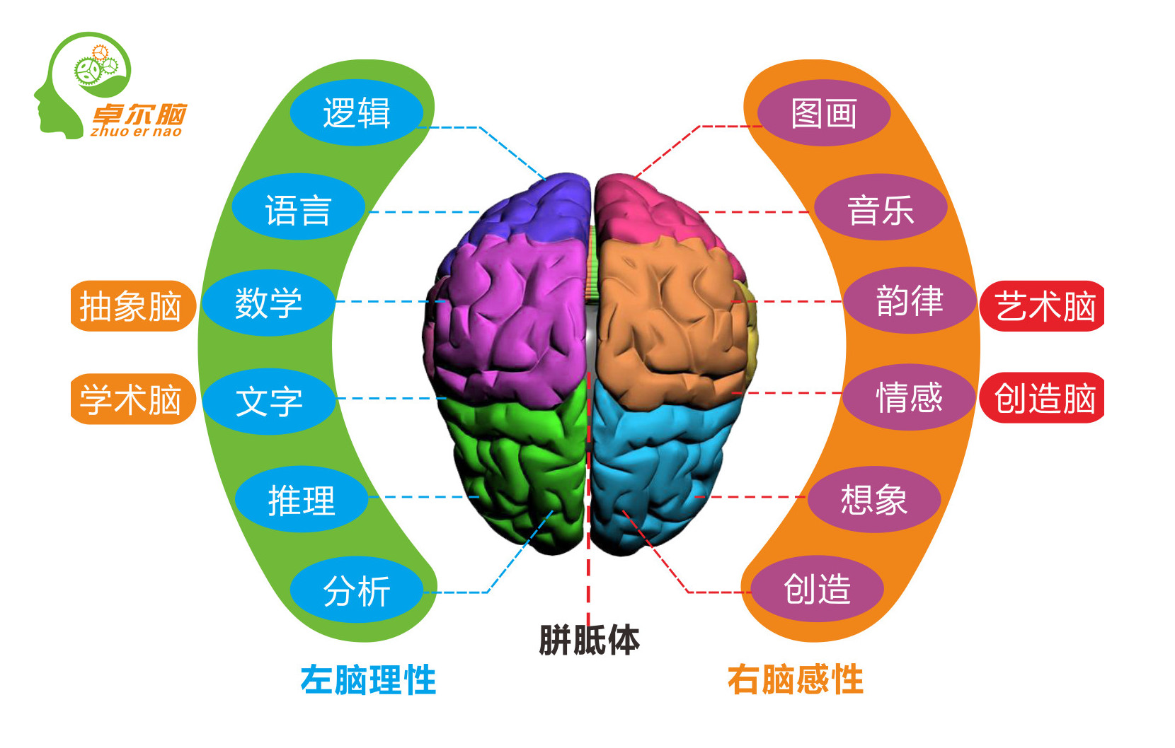 全脑教育 你说你关心孩子