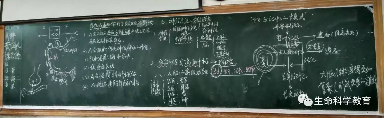 板書教學設計一名高中生物老師的堅持