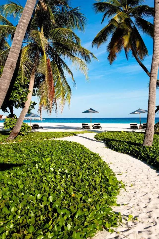 check绿色地球计划(建造/设计)柏悦是马尔代夫全国唯一一家获得轮廓