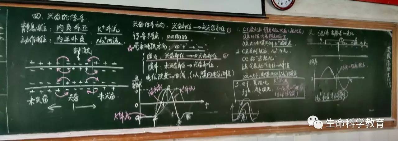 板書教學設計一名高中生物老師的堅持