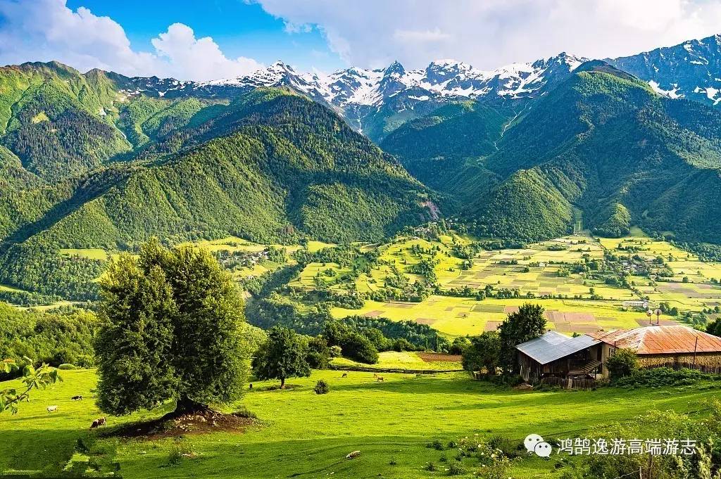 高加索地区风景图片