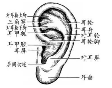 時間來健身鍛鍊,有鑑於此,日本