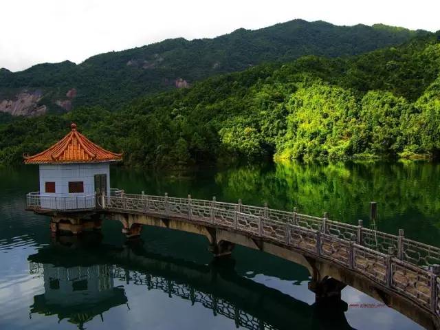 阳江大八雷岗风景潭图片