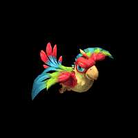 彩虹鹦鹉gif图片