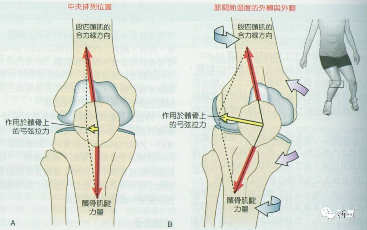 膝盖弯曲角度示意图图片