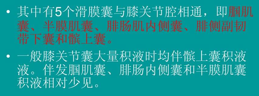 5个位于外侧和后外侧(股二头肌下滑囊,腓肠肌外