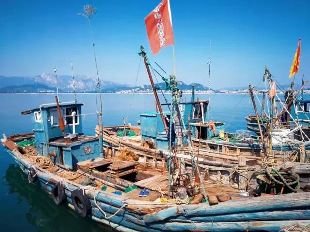 史上最长休渔期结束,青岛崂山王哥庄港东码头渔民整装待发,又到海鲜季