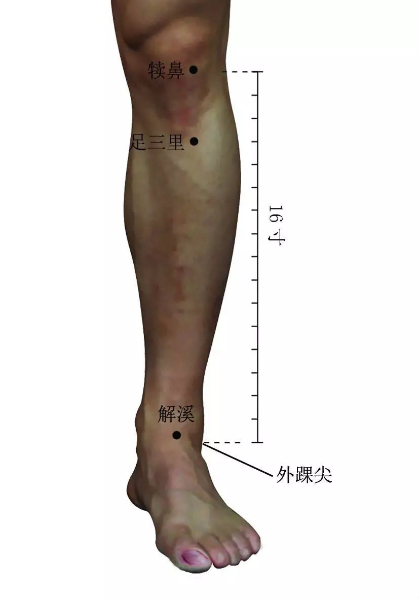 三大养生要穴您一定要知道！自我保健疗疾非常重要！