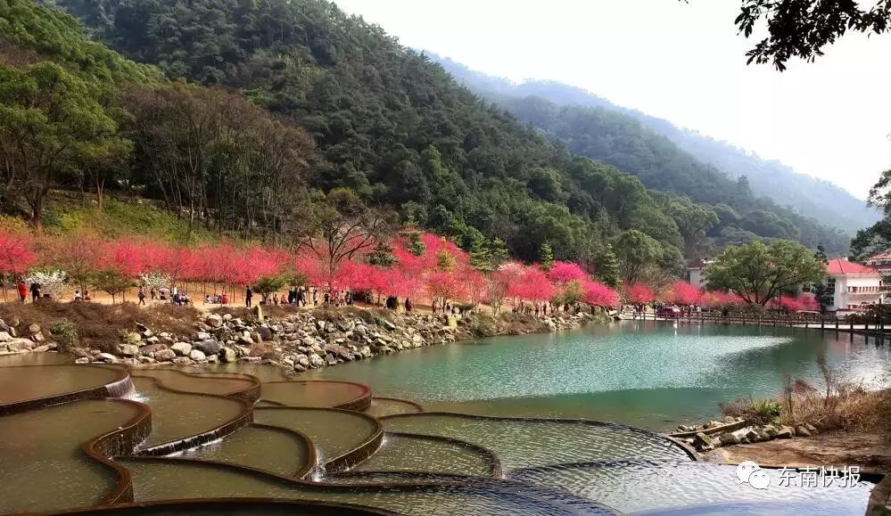 川捷高爾夫溫泉/桂湖匯雅溫泉/美人谷溫泉遊;(二)金雞山公園 川捷