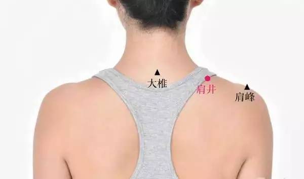 肩周的准确位置图背部图片