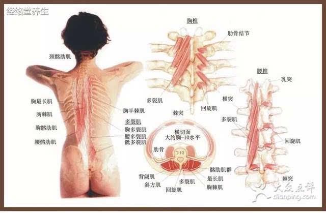 脚趾|刘先银经典点说《黄帝内经》：三扇门调和阴阳助睡眠，穴位食物搭配养五脏