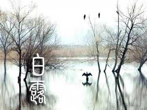 凉夜有怀唐·白居易清风吹枕席,白露湿衣裳.好是相亲夜,漏迟天气凉.