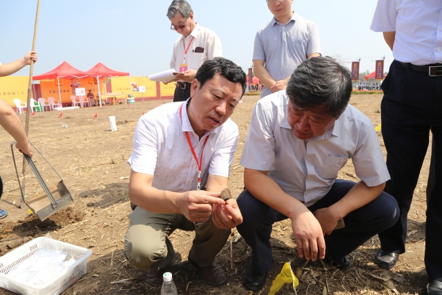 裁判长和副裁判长分别由山东省文物局大遗址保护与考古处处长王守功和