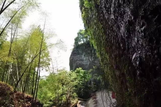 鹿亭鹿亭鄉 據《餘姚光緒志》記載:齊孔佑隱居是山,有鹿中矢來投,佑