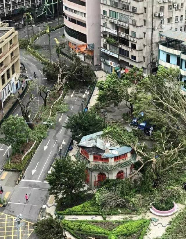 包含台风「泰利」登陆广东湛江，为今年首个登陆我国的台风，随后在广西沿海再次登陆，台风天气哪些事项需要注意？的词条-第2张图片-鲸幼网