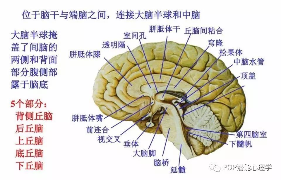 阿赖耶识末那识图片