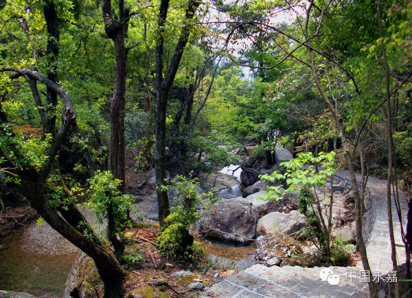 四海山位於巖坦鎮張溪西北,屬北雁蕩山脈.