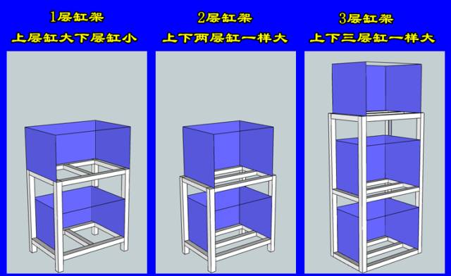 七彩繁殖组缸设计图图片