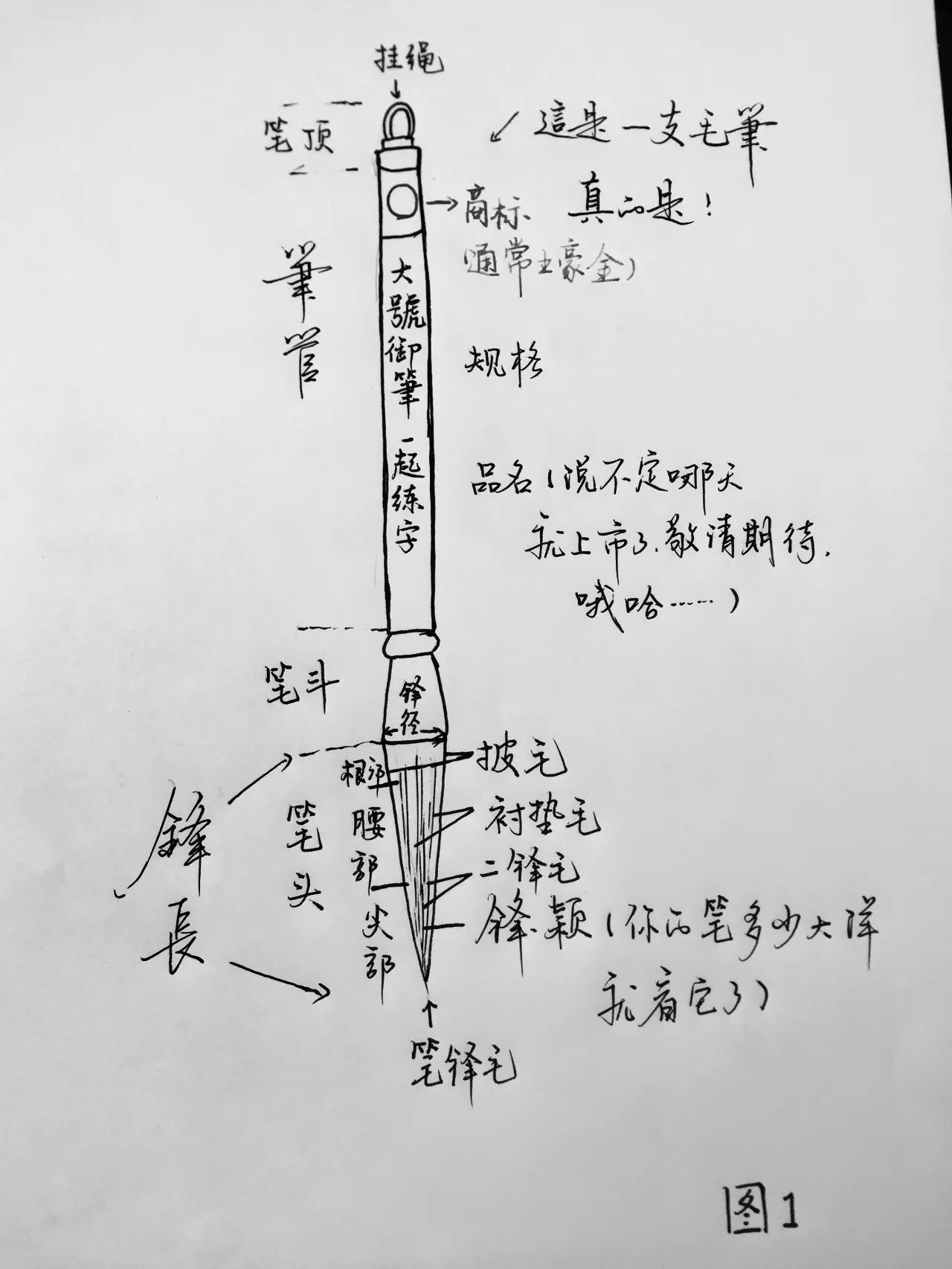 练字干货 