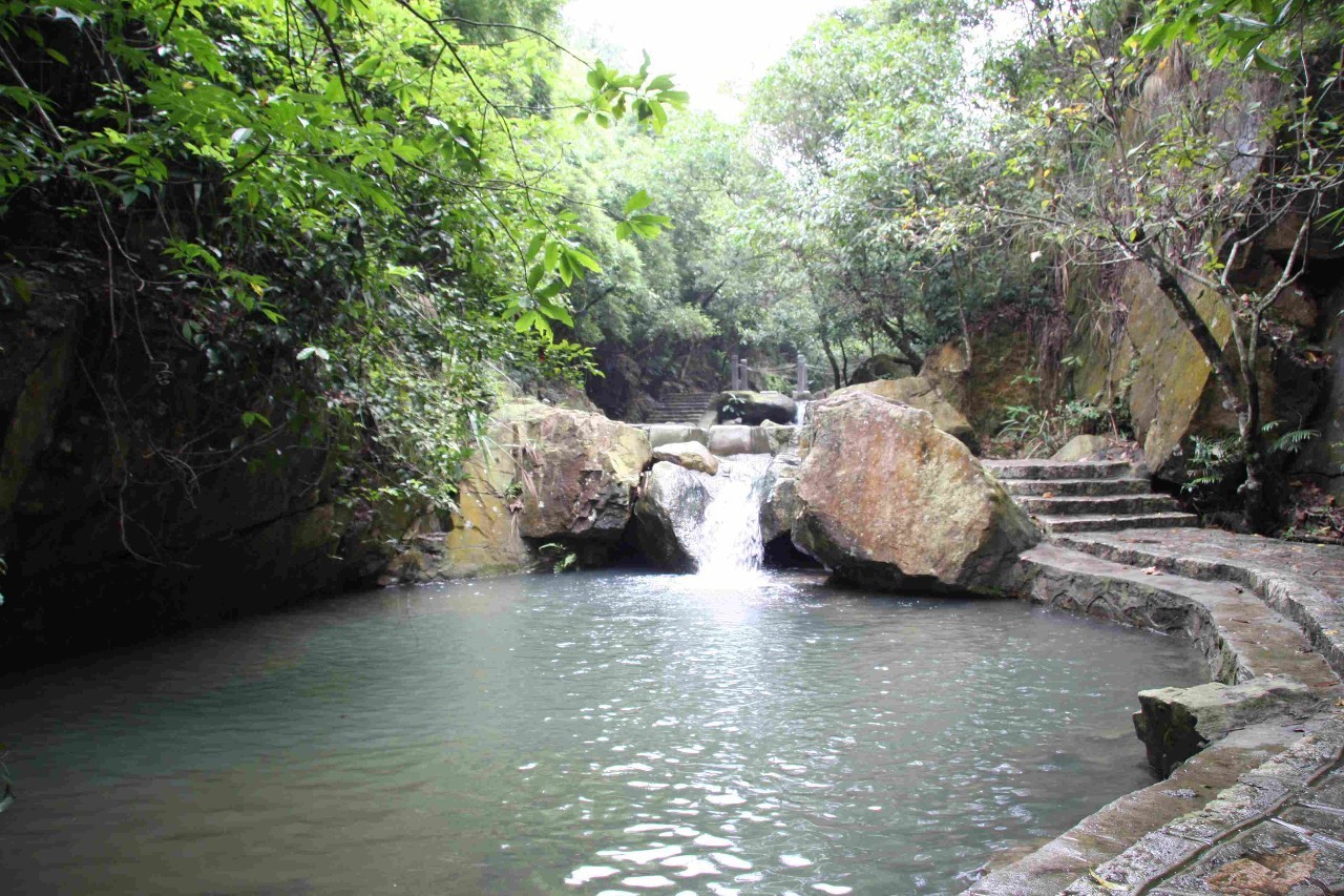 大嶺山人的週末好去處!大嶺山森林公園