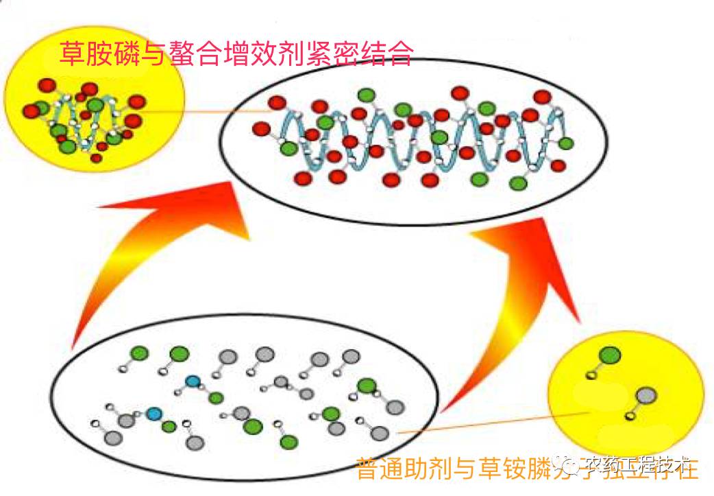 新产品聚焦:螯合态草铵膦增效剂