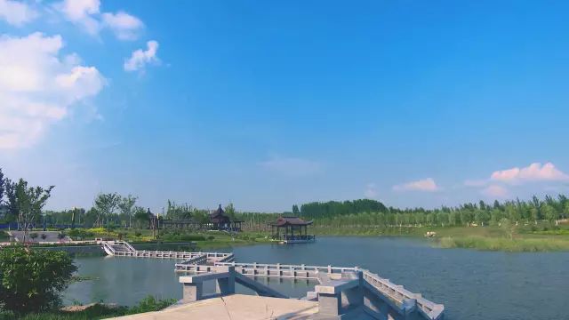 邹城杨下河湿地公园图片