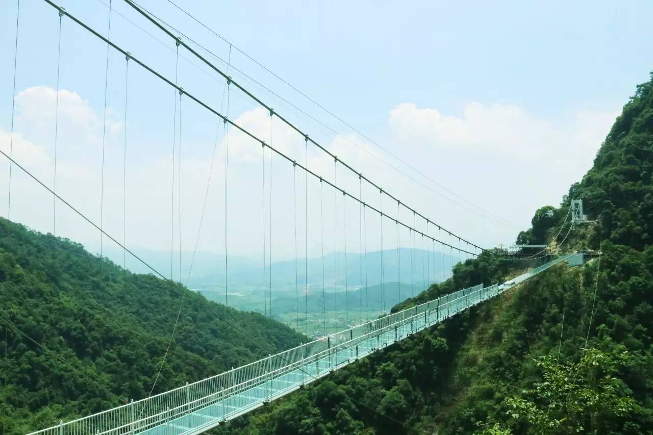 厉害!全广东最长最刺激玻璃桥已经开放,阳春人敢约吗?