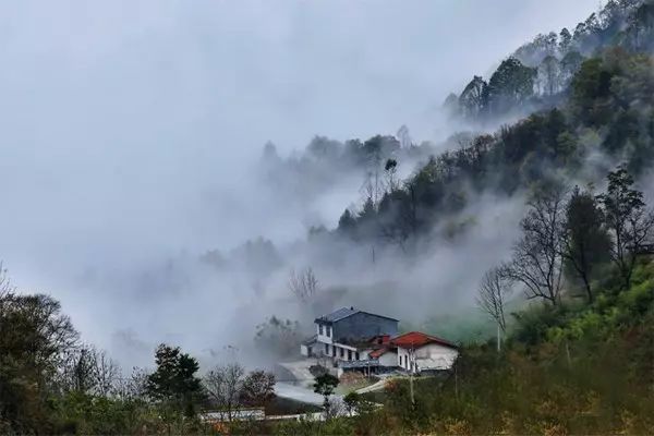 咸阳市长武县亭口镇宇家山村,延安市宝塔区万花山乡佛道坪村,榆林市