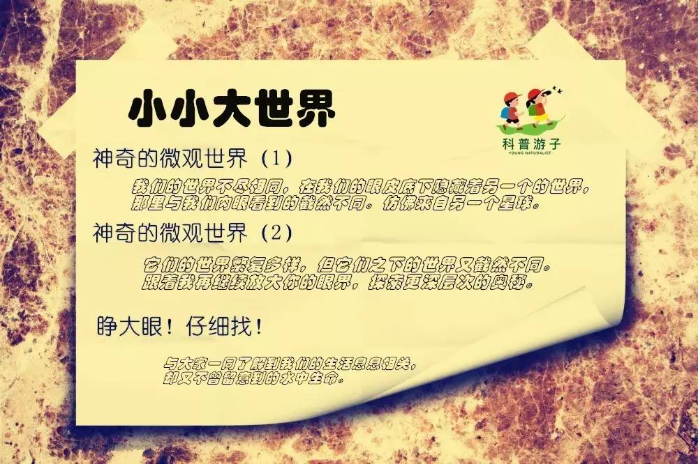 74時間丈量萬物,老師將帶著你沿時間線從宏觀的角度瞭解我們生活的