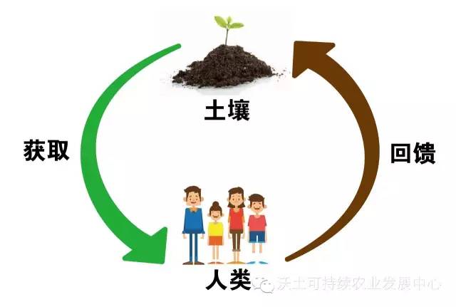 測土福利 | 你家的土壤改良,先從測土開始吧