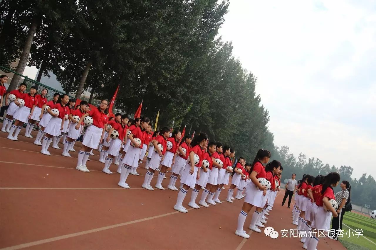 安阳银杏小学北校简介图片