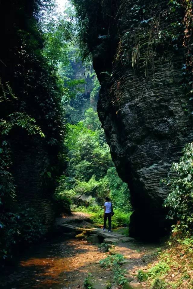 僰王山景观以自然山水为主,山水相依,植被葱翠.