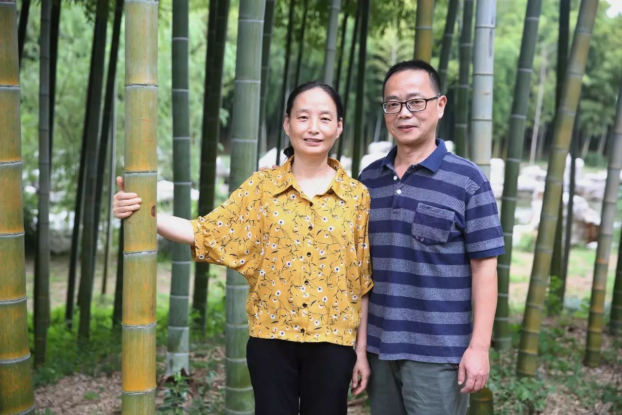 (孙挥 陈莉娟(李卫平 刘映桃(李晔 崔祎(李锋 傅源(吴志晖 张桢