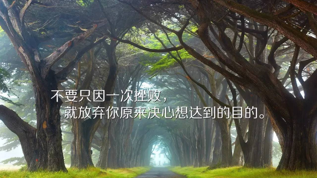 没有退路迎难而上图片